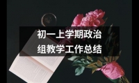 關(guān)于初一上學(xué)期政治組教學(xué)工作總結(jié)