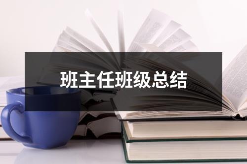 班主任班級總結