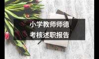 關于小學教師師德考核述職報告