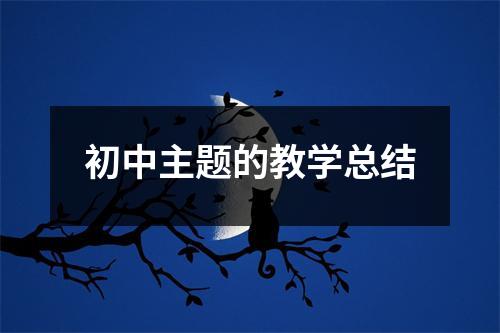 初中主題的教學(xué)總結(jié)