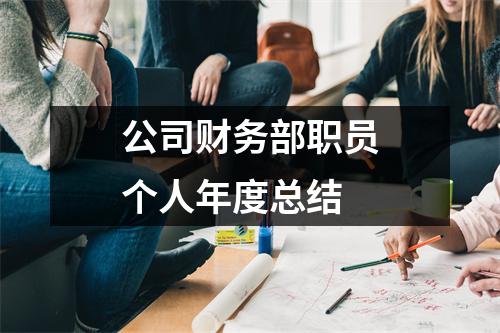 公司財務部職員個人年度總結