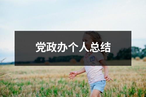 黨政辦個人總結