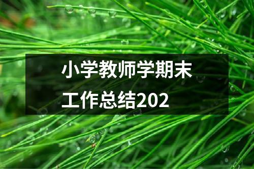 小學教師學期末工作總結202