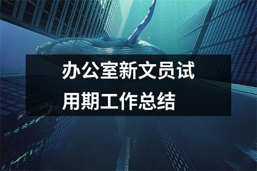 辦公室新文員試用期工作總結(jié)