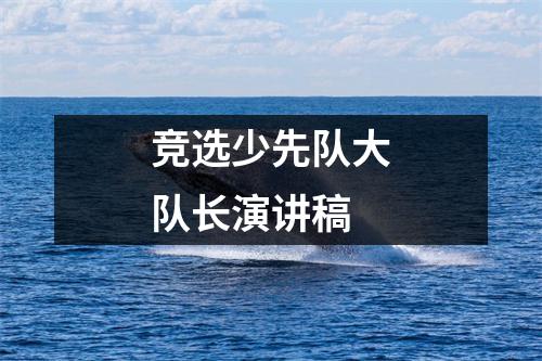 競選少先隊大隊長演講稿