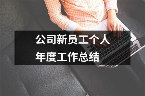 公司新員工個人年度工作總結