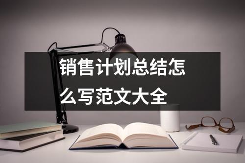 銷售計劃總結怎么寫范文大全