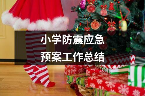 小學防震應急預案工作總結