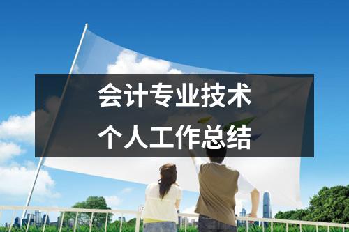 會計專業技術個人工作總結