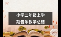 關(guān)于小學(xué)二年級上學(xué)期音樂教學(xué)總結(jié)