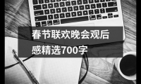 關于春節聯歡晚會觀后感精選700字