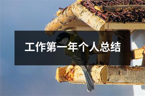 工作第一年個人總結(jié)