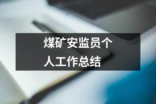 煤礦安監員個人工作總結