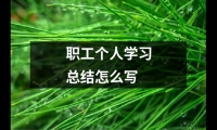 關(guān)于職工個(gè)人學(xué)習(xí)總結(jié)怎么寫